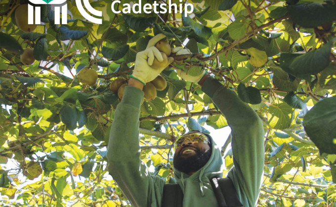 HC   Social tile BoP2