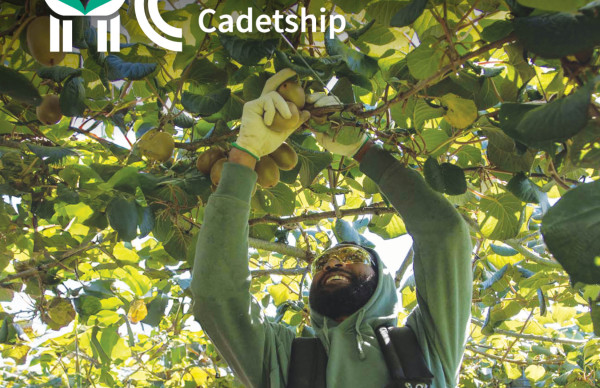 HC   Social tile BoP2