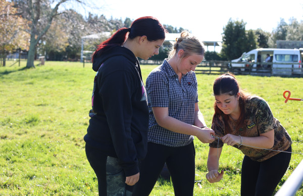 Horowhenua Article