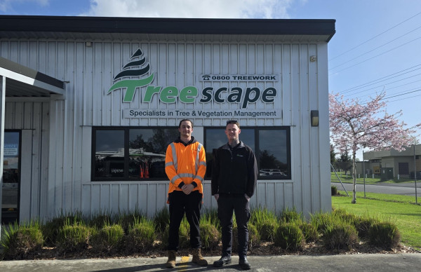 Jesse & Dylan   Treescapes