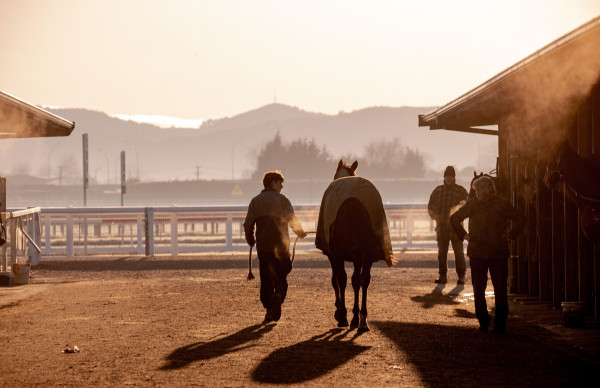 LoveRacing Cambridge 6242