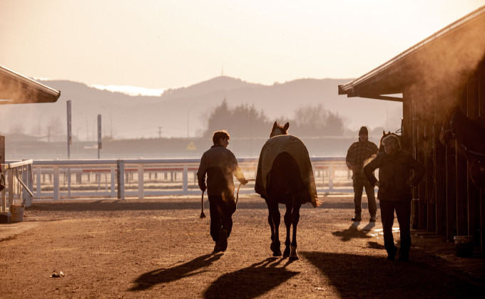 LoveRacing Cambridge 6242